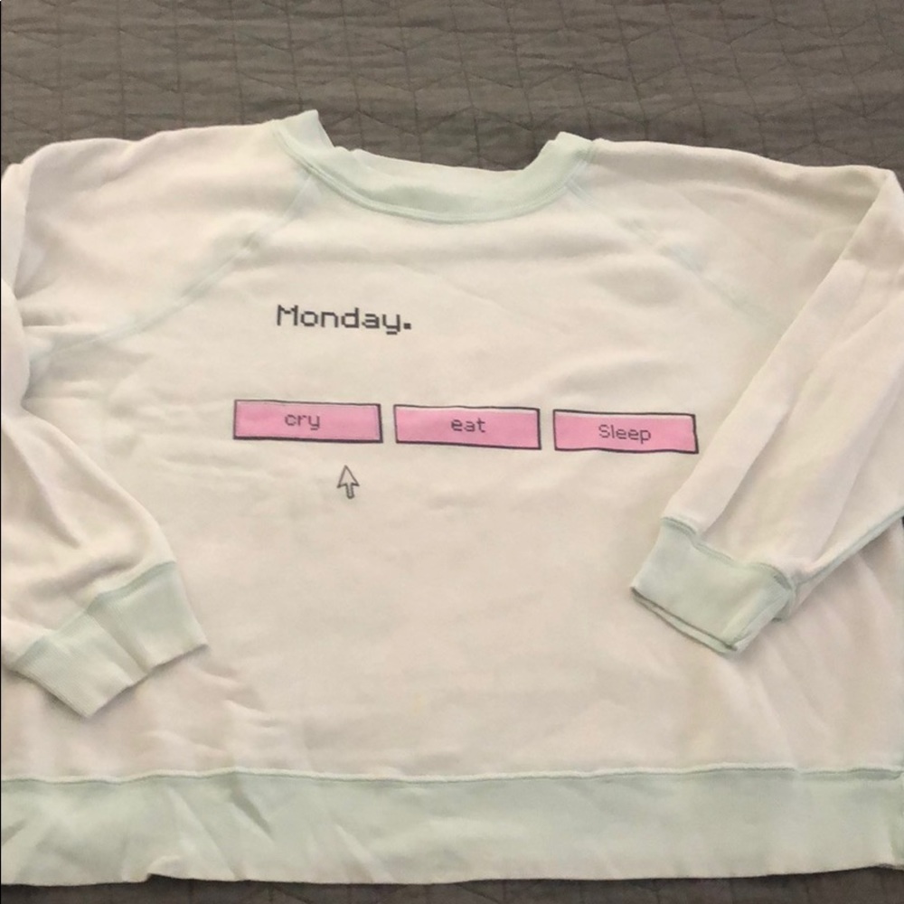 Wildfox sweatshirt Medium.